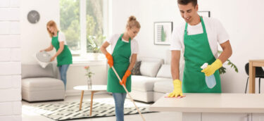 964436house-cleaning 964436house-cleaning